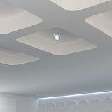 FlexHD-CM FlexHD / U6-Mesh Ceiling Mount (4)