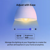 TAPO L530E TP-LInk Tapo Smart Wi-Fi Light Bulb, Multicolor