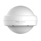 RG-RAP6202-G Ruijie Reyee Outdoor Omni-Directional Wireless 5 Access Point  (No PoE Injector)